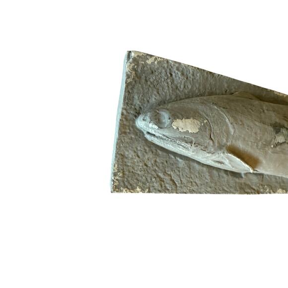 Large Fish Wall Hanging Coastal Marine Lake Cottage Cabin Decor 12” Heavy - Picture 2 of 15